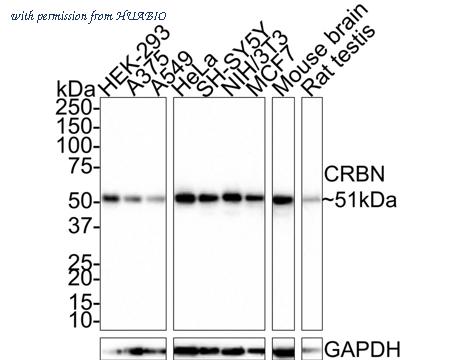 HUABIO HA721457 image 1