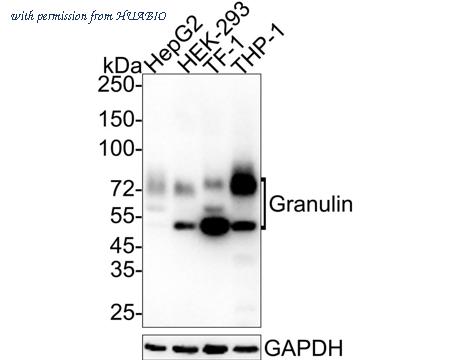 HUABIO HA721464 image 1