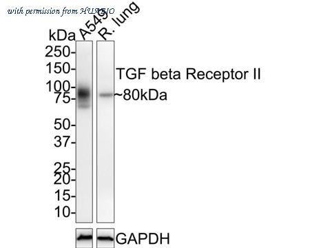 HUABIO HA721480 image 1