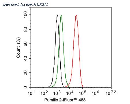HUABIO HA721486 image 2