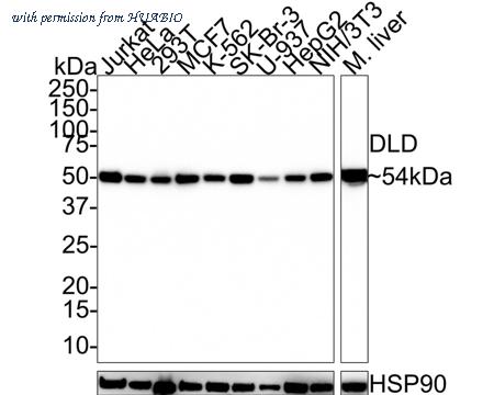 HUABIO HA721512 image 1