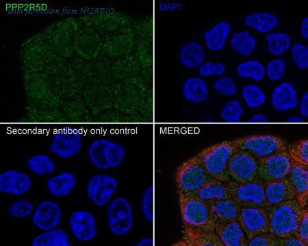 HUABIO HA721638 image 3