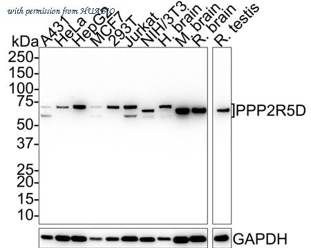 HUABIO HA721639 image 1