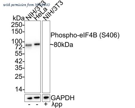 HUABIO HA721676 image 1