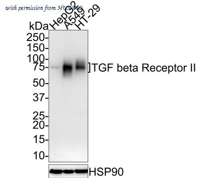 HUABIO HA721693 image 1