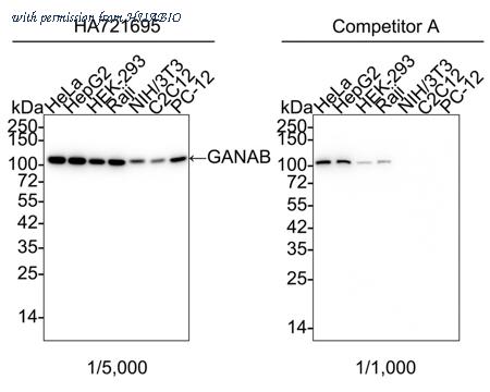 HUABIO HA721695 image 1