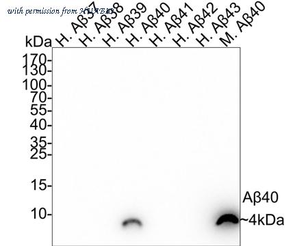 HUABIO HA721788 image 1