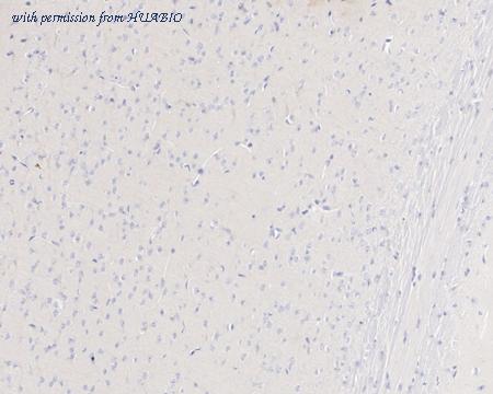 HUABIO HA721788 image 3