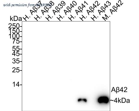 HUABIO HA721789 image 1