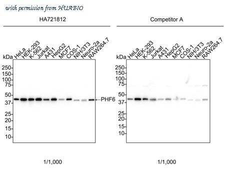 HUABIO HA721812 image 1