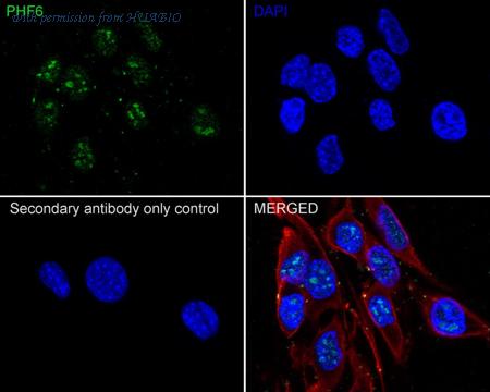 HUABIO HA721812 image 2