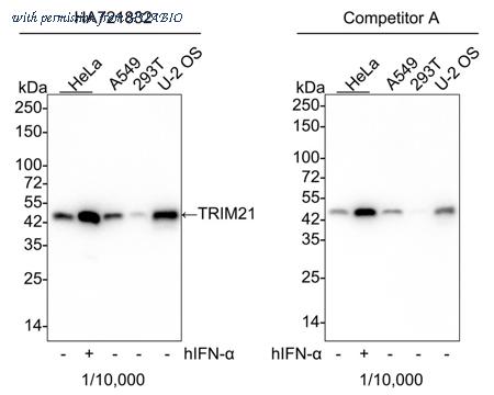 HUABIO HA721832 image 1