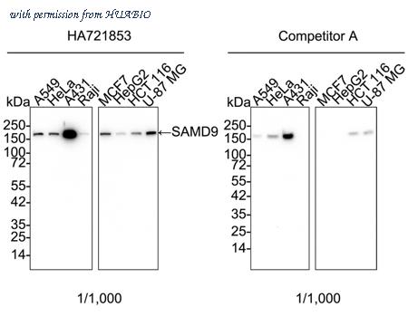 HUABIO HA721853 image 1