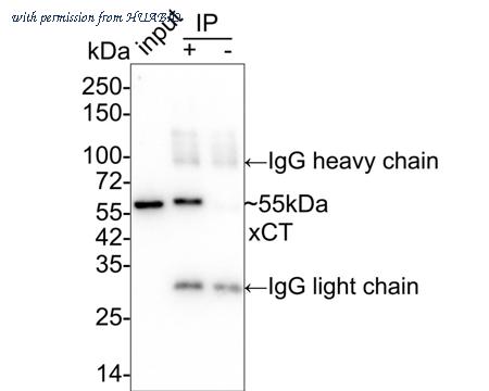 HUABIO HA721868 image 3