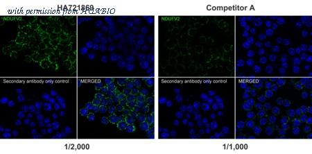 HUABIO HA721869 image 2