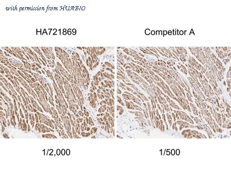 HUABIO HA721869 image 3