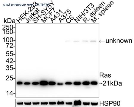 HUABIO HA721883 image 1