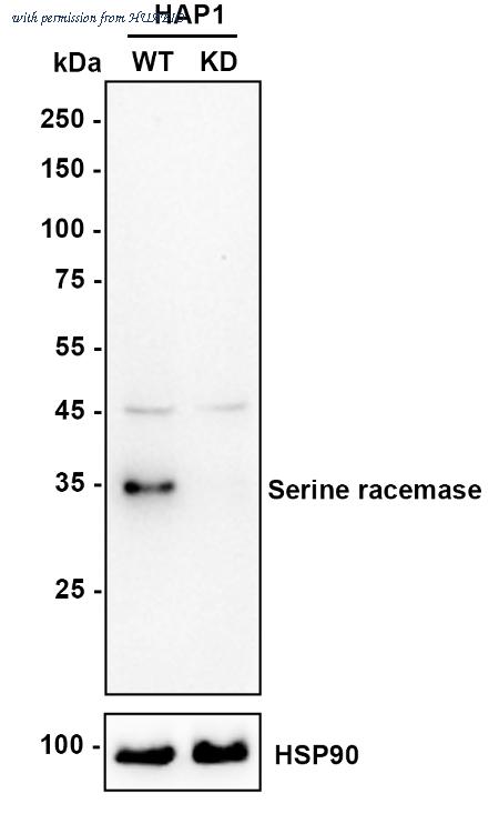 HUABIO HA721888 image 1