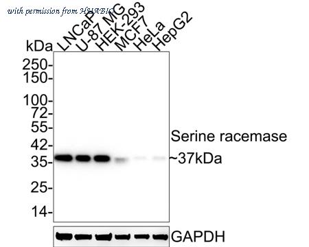 HUABIO HA721888 image 2