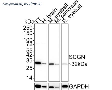 HUABIO HA721891 image 1