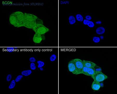 HUABIO HA721891 image 2