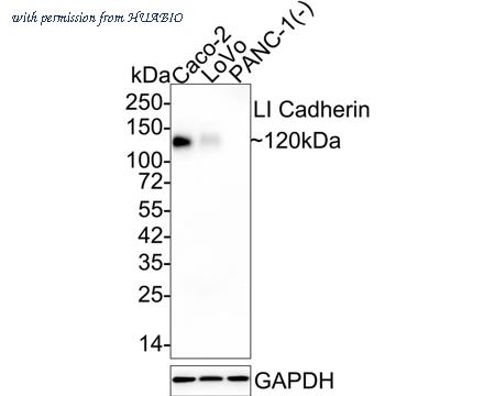 HUABIO HA721895 image 1