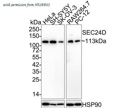 HUABIO HA721902 image 1