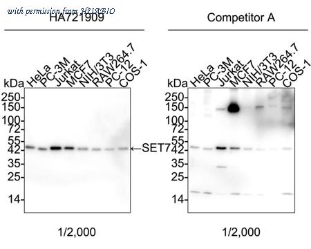 HUABIO HA721909 image 1