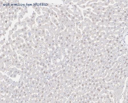 HUABIO HA721922 image 3