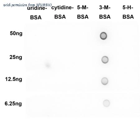 HUABIO HA721957 image 2