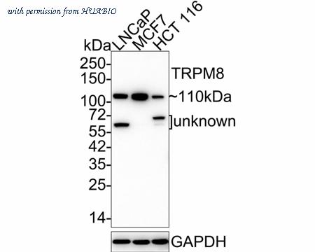 HUABIO HA721959 image 1