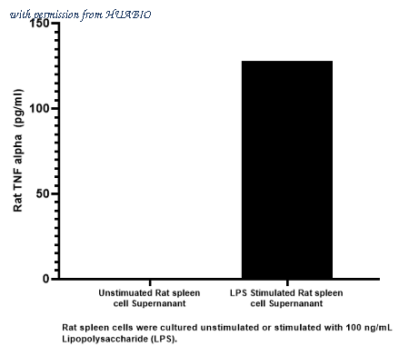 HUABIO HA721975 image 3