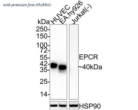HUABIO HA722009 image 1