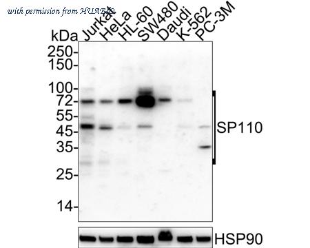 HUABIO HA722025 image 1