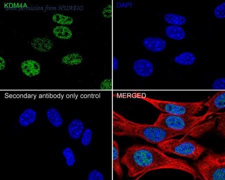 HUABIO HA722026 image 3