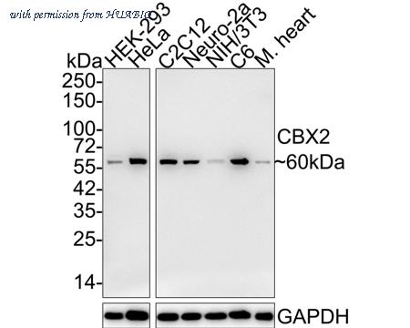 HUABIO HA722027 image 1