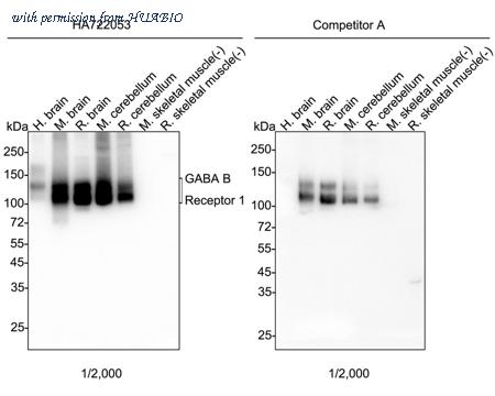 HUABIO HA722053 image 1