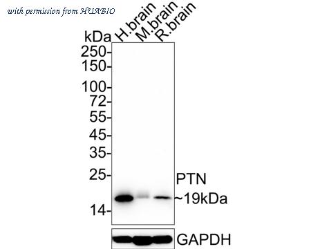 HUABIO HA722055 image 1
