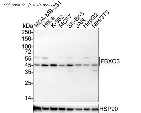 HUABIO HA722090 image 1