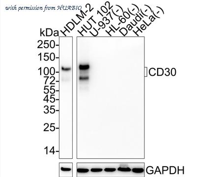 HUABIO HA722091 image 1