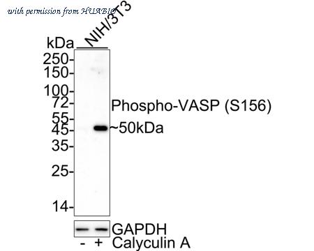 HUABIO HA722145 image 2