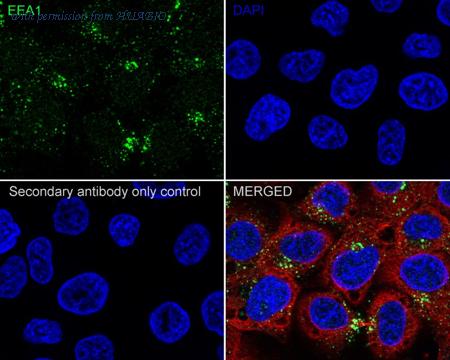 HUABIO HA722147 image 3