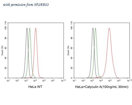 HUABIO HA722148 image 3
