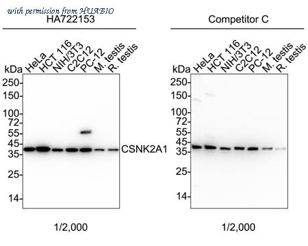 HUABIO HA722153 image 1