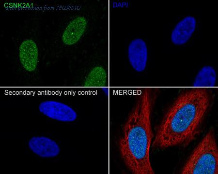 HUABIO HA722153 image 2