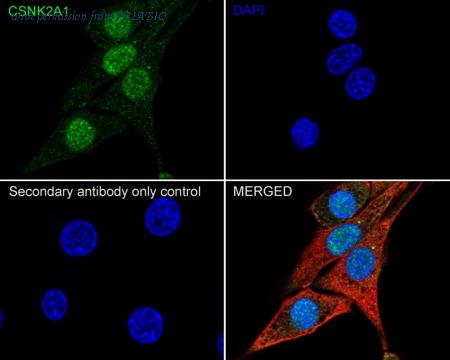 HUABIO HA722153 image 3