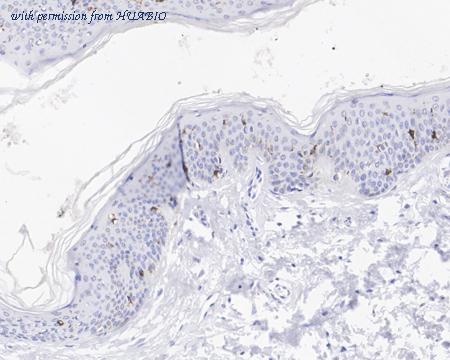 HUABIO HA722159 image 3