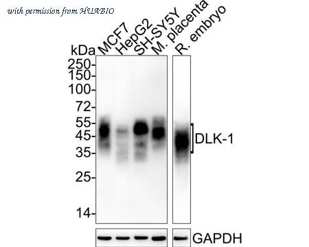 HUABIO HA722180 image 1