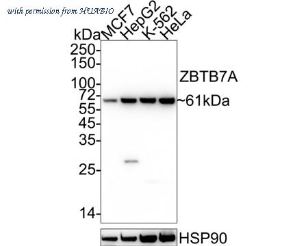 HUABIO HA722205 image 1