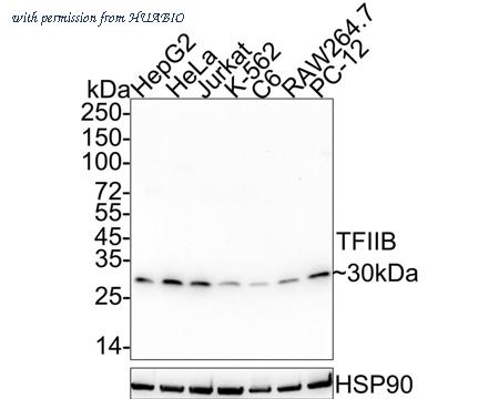 HUABIO HA722213 image 1